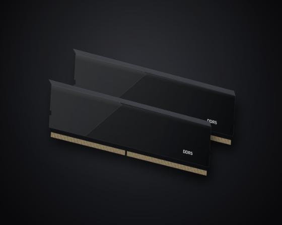 OM DDR5